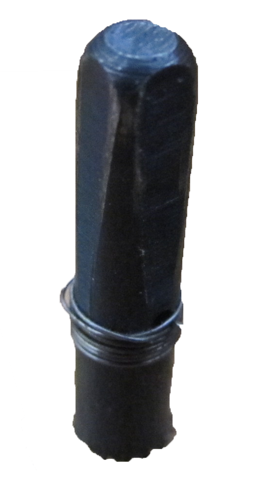 Clavija
